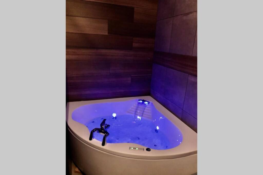 Studio cocooning Spa, lit XXL, cour extérieure Le Puy-en-Velay Exterior foto